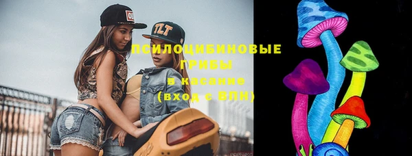 гидропоника Абаза