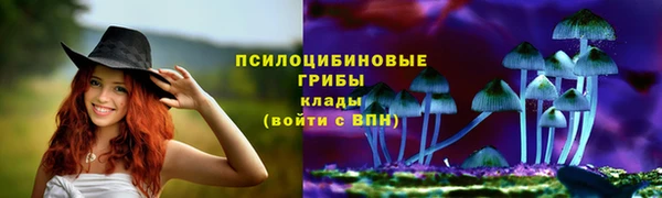 наркотики Алексин