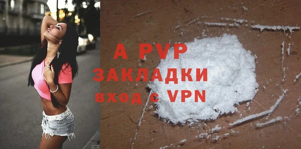 прущие грибы Абдулино