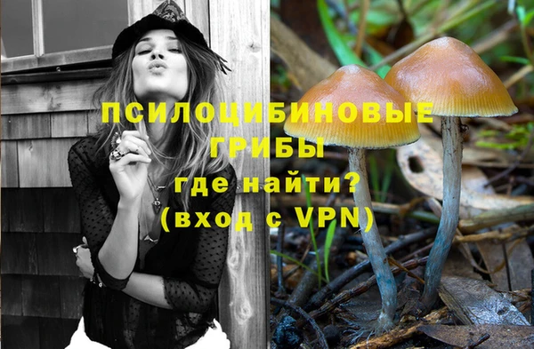 гидропоника Абаза