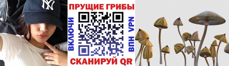 Галлюциногенные грибы MAGIC MUSHROOMS  Ковров 